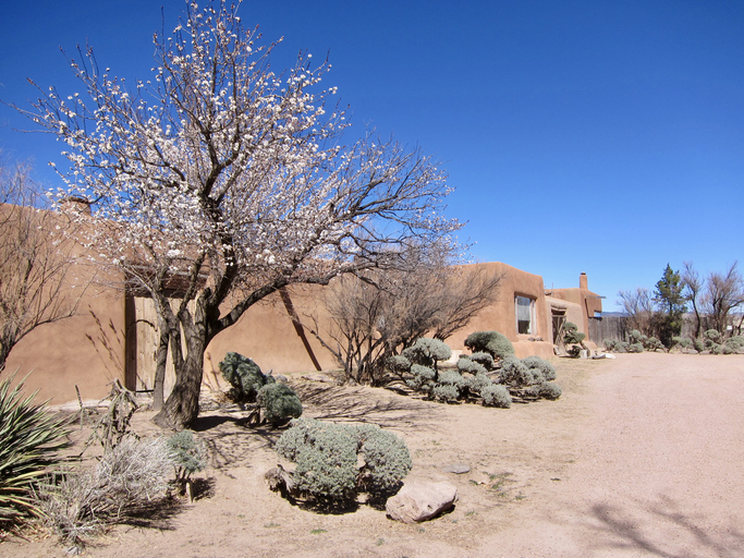 New Mexico insurance agency
